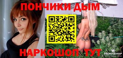 mdpv Заводоуковск